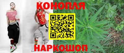 бошки Будённовск