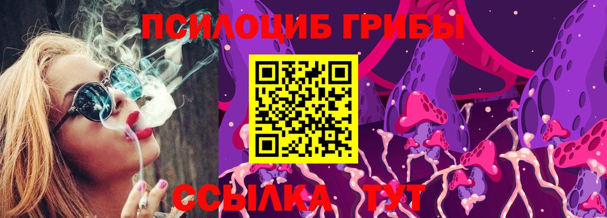 хочу наркоту  Псилоцибиновые грибы Cubensis  Вход с VPN  Карабулак 